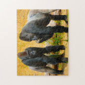 Gorilla's. Legpuzzel (Verticaal)