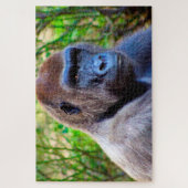 Gorillas. Legpuzzel (Verticaal)