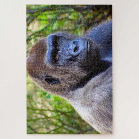 Gorillas. Legpuzzel (Verticaal)