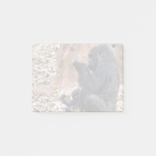 Gorillas Lulu en Floyd in Zoo Atlanta Post-it® Notes