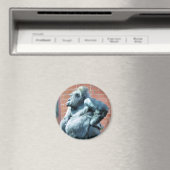 GORILLAS MAGNEET (Insitu (Vaatwasser))