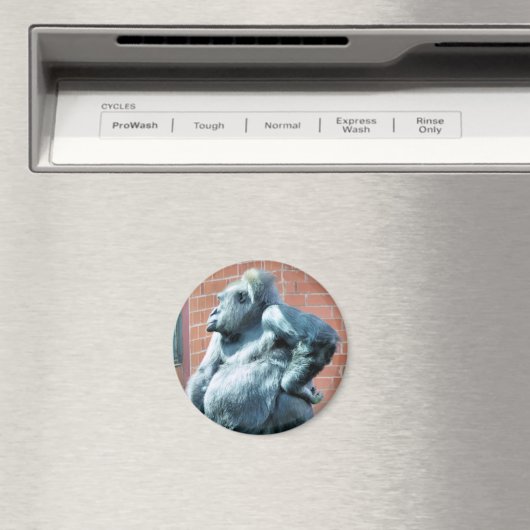 GORILLAS MAGNEET (Insitu (Vaatwasser))