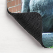 GORILLAS MUISMAT (Hoek)