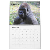 Gorillas of Zoo Atlanta 2023 Calendar Kalender (Mar 2026)