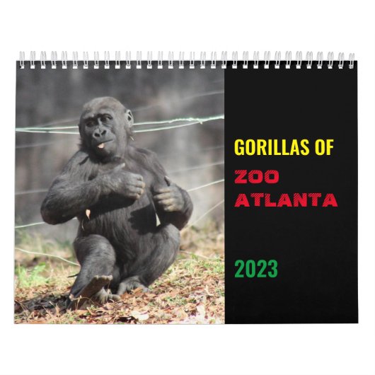 Gorillas of Zoo Atlanta 2023 Calendar Kalender (Hoes)