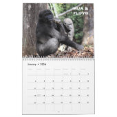 Gorillas of Zoo Atlanta 2023 Calendar Kalender (Jan 2026)