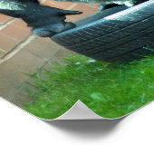 GORILLAS POSTER (Hoek)