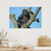 Gorilla's rustige boombaars poster (Keuken)