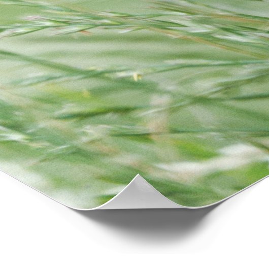 Gorilla's rustige weide portret poster (Hoek)