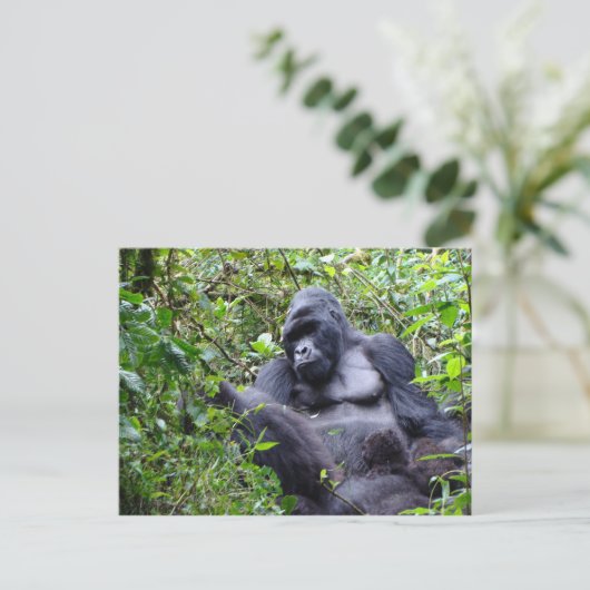 Gorillas-Rwanda Briefkaart (Staand voorkant)