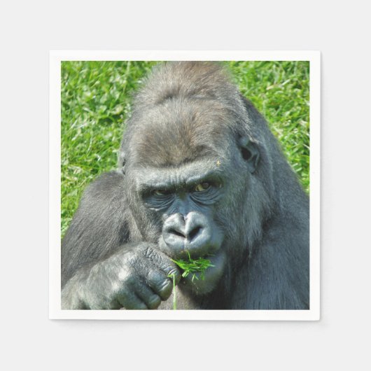 GORILLAS SERVETTEN (Voorkant)