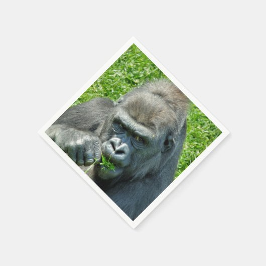 GORILLAS SERVETTEN (Hoek)