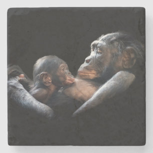 Gorillas Stenen Onderzetter