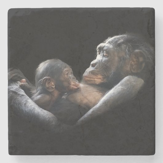 Gorillas Stenen Onderzetter (Voorkant)