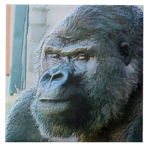 GORILLAS TEGELTJE
