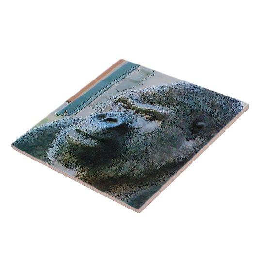 GORILLAS TEGELTJE (Zijkant)