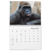 Gorillas Wall Calendar Kalender (Feb 2027)