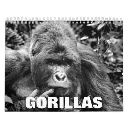 Gorillas Wall Calendar Kalender