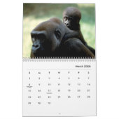 Gorillas Wall Calendar Kalender (Mar 2026)