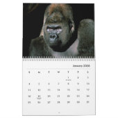 Gorillas Wall Calendar Kalender (Jan 2026)