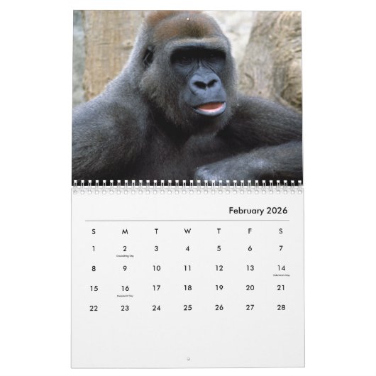 Gorillas Wall Calendar Kalender (Feb 2026)