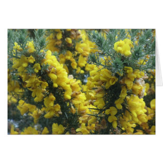 Gorse, Loch Ness, Schotland