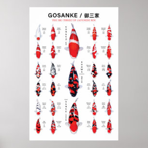 Gosanke Japanse Koi Vis Variëteiten Identificatie Poster