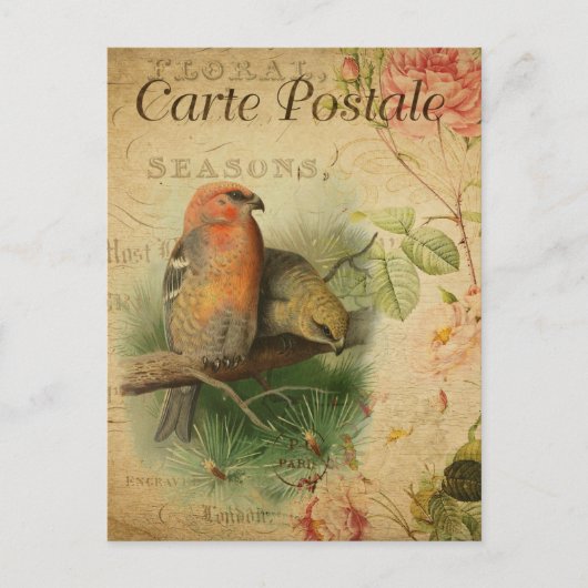 Gosbeak Birds Floral French Carte Postale Briefkaart (Voorkant)