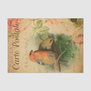  Gosbeak Birds Floral French Carte Postale Tissuepapier