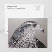 Goshawk Briefkaart (Voorkant / Achterkant)
