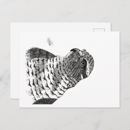 GOSHAWK BRIEFKAART (Voorkant / Achterkant)