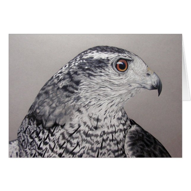 Goshawk Card (Voorkant Horizontaal)