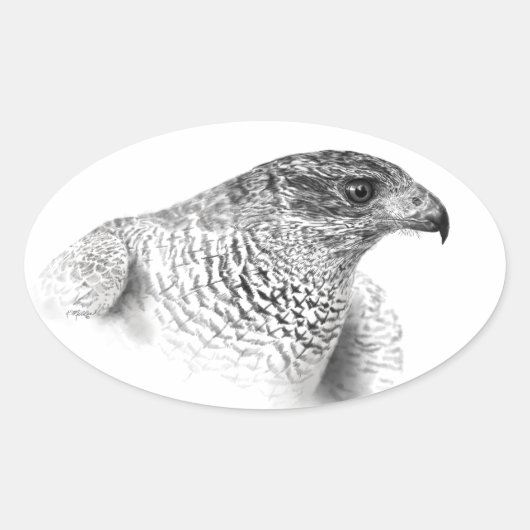 Goshawk Drawing Ovale Sticker (Voorkant)