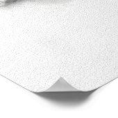 Goshawk Drawing Poster (Hoek)