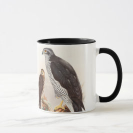 Goshawk John Gould Birds of Great Britain Wildlife Mok