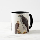 Goshawk John Gould Birds of Great Britain Wildlife Mok (Voorkant rechts)