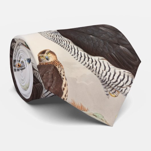 Goshawk John Gould Birds of Great Britain Wildlife Stropdas (Opgerold)