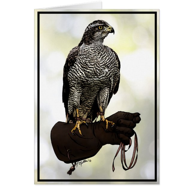 Goshawk op Glove (Voorkant)