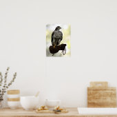 Goshawk op Glove Poster (Keuken)