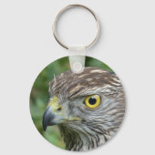 goshawk sleutelhanger (Voorkant)