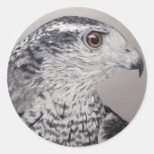 Goshawk Stickers (Voorkant)