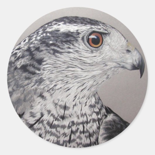 Goshawk Stickers (Voorkant)