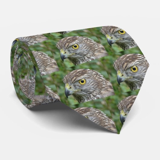 goshawk stropdas (Opgerold)