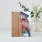 Goslar, Butterhanne Briefkaart (Staand voorkant)