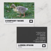 Gosling 02 visitekaartje (Voorkant / Achterkant)