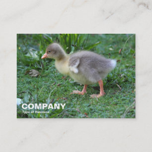 Gosling 02 visitekaartje
