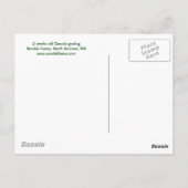 Gosling Briefkaart (Achterkant)