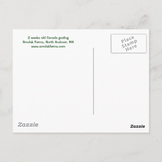 Gosling Briefkaart (Achterkant)