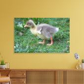 Gosling Canvas Afdruk (Insitu (Woonkamer))