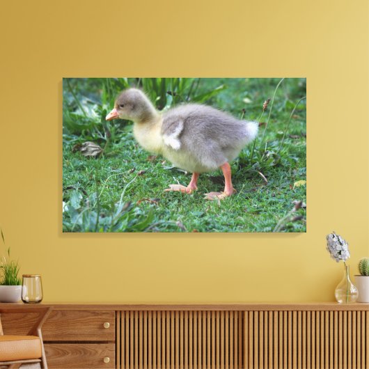 Gosling Canvas Afdruk (Insitu (Woonkamer))